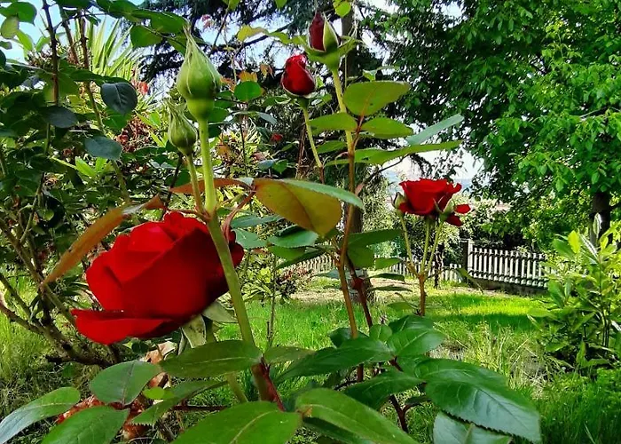 Ostello La Costana *